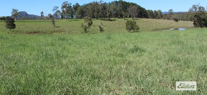 1361 Comboyne Road, Killabakh, NSW, 2429 - Image 17