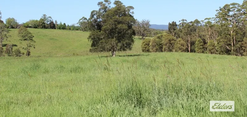 1361 Comboyne Road, Killabakh, NSW, 2429 - Image 6