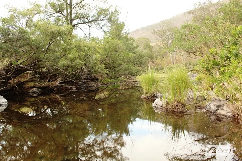 1463 Cells Road , Cells River, NSW, 2424 - Image 9
