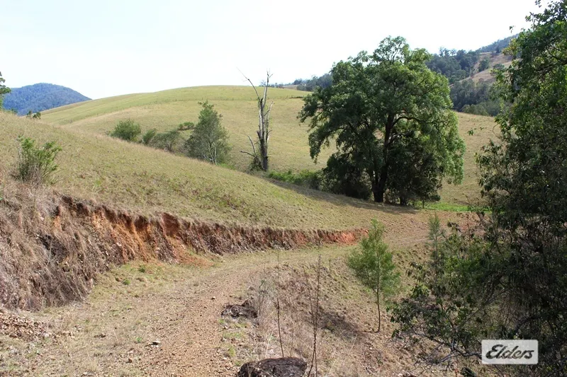 1463 Cells Road , Cells River, NSW, 2424 - Image 12