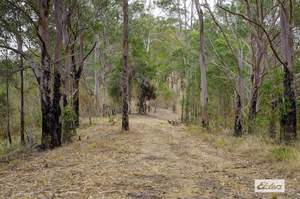 Kings Creek Road, Krambach, NSW, 2429 - Image 23
