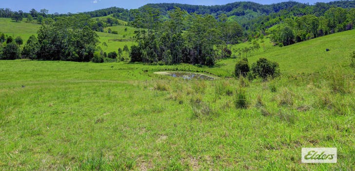 Kings Creek Road, Krambach, NSW, 2429 - Image 1