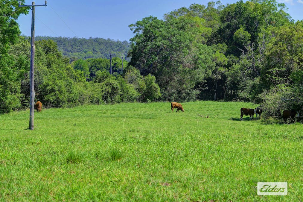 Kings Creek Road, Krambach, NSW, 2429 - Image 2