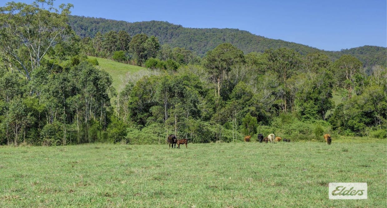Kings Creek Road, Krambach, NSW, 2429 - Image 3