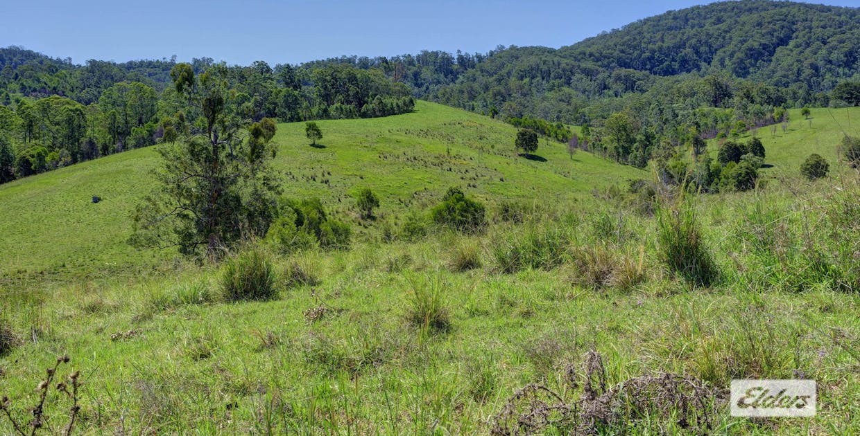 Kings Creek Road, Krambach, NSW, 2429 - Image 5