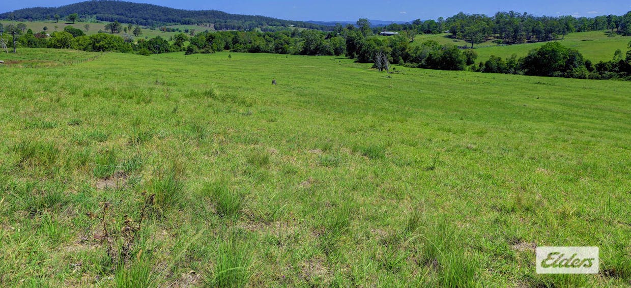 Kings Creek Road, Krambach, NSW, 2429 - Image 7