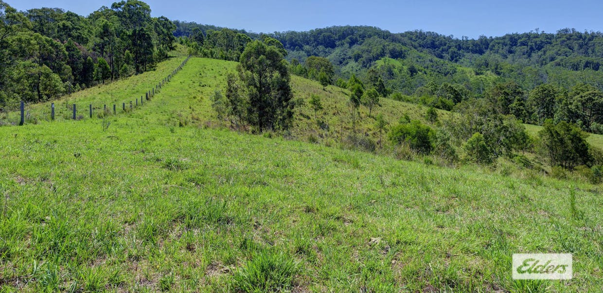 Kings Creek Road, Krambach, NSW, 2429 - Image 13