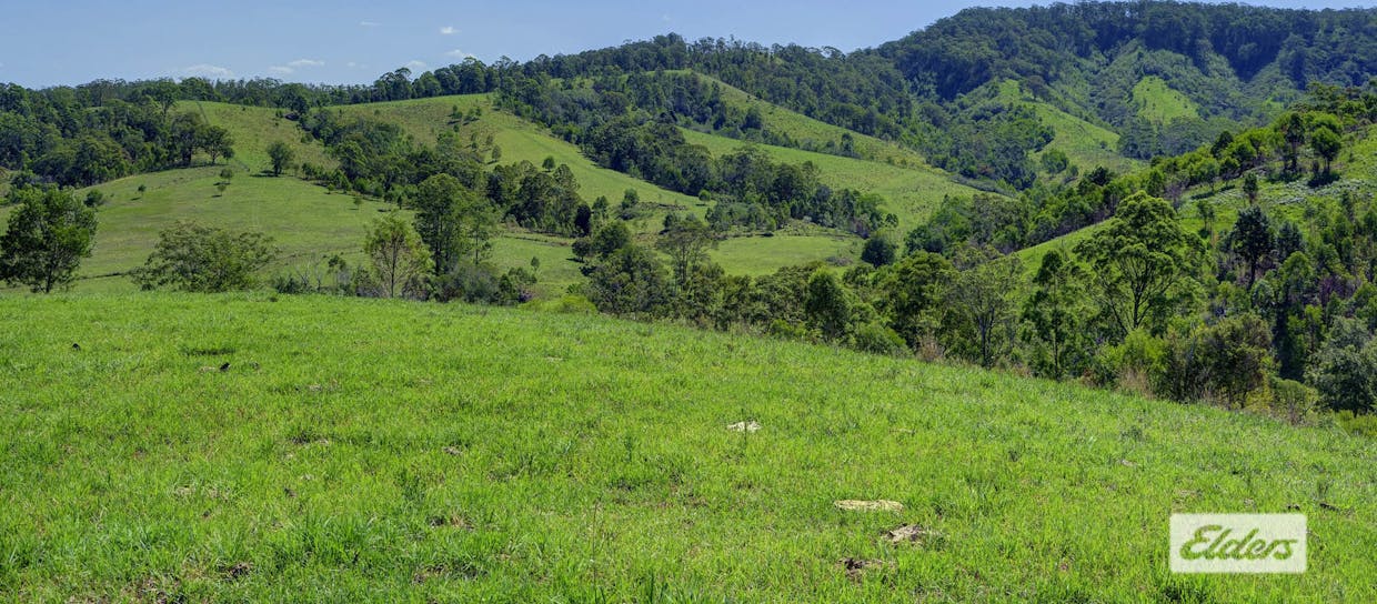 Kings Creek Road, Krambach, NSW, 2429 - Image 15