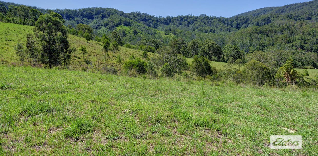 Kings Creek Road, Krambach, NSW, 2429 - Image 17