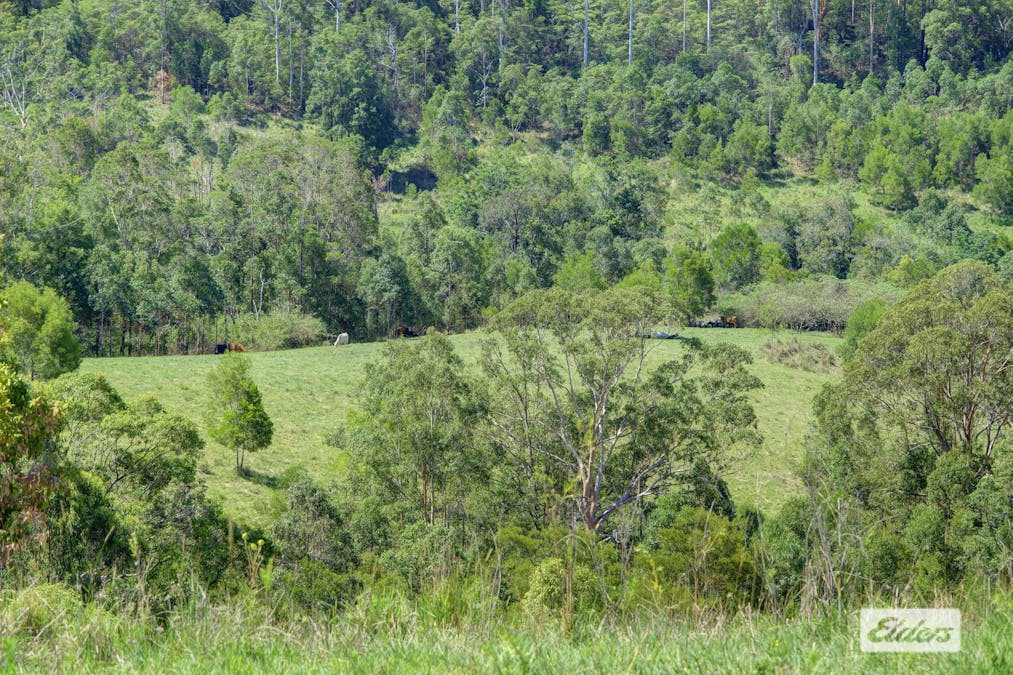 Kings Creek Road, Krambach, NSW, 2429 - Image 18