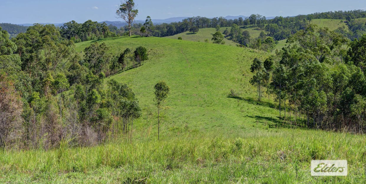 Kings Creek Road, Krambach, NSW, 2429 - Image 20