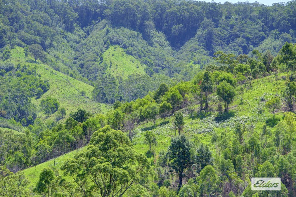 Kings Creek Road, Krambach, NSW, 2429 - Image 21