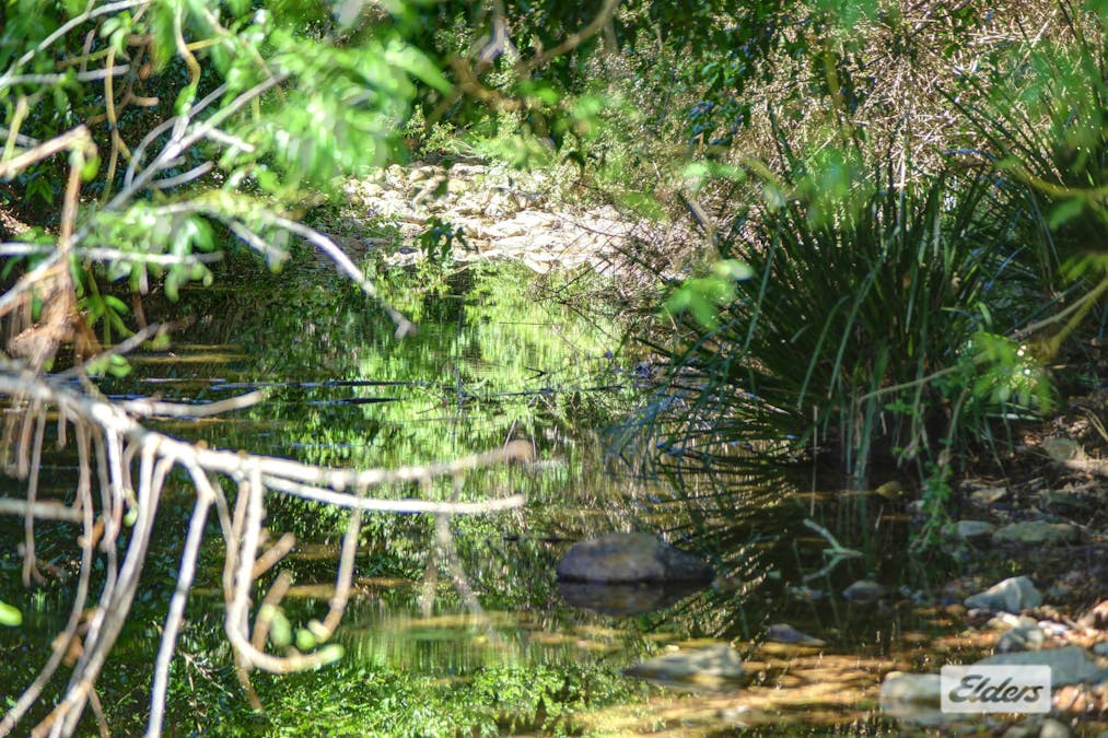 Kings Creek Road, Krambach, NSW, 2429 - Image 10