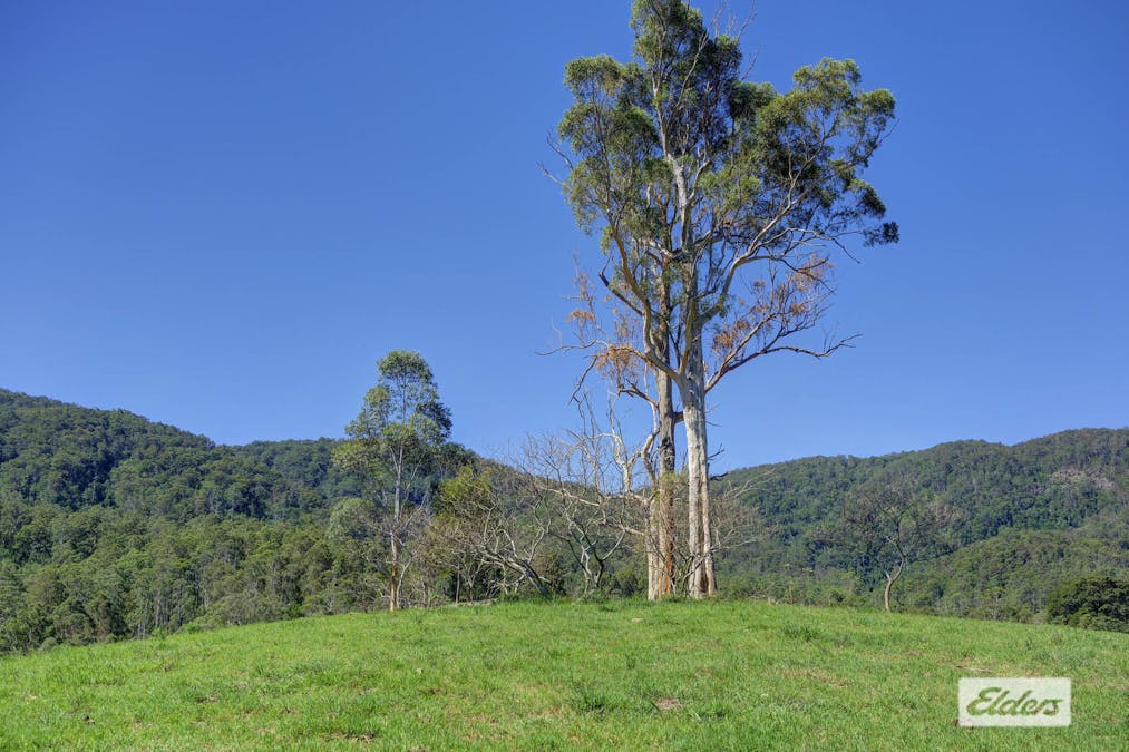 Kings Creek Road, Krambach, NSW, 2429 - Image 24