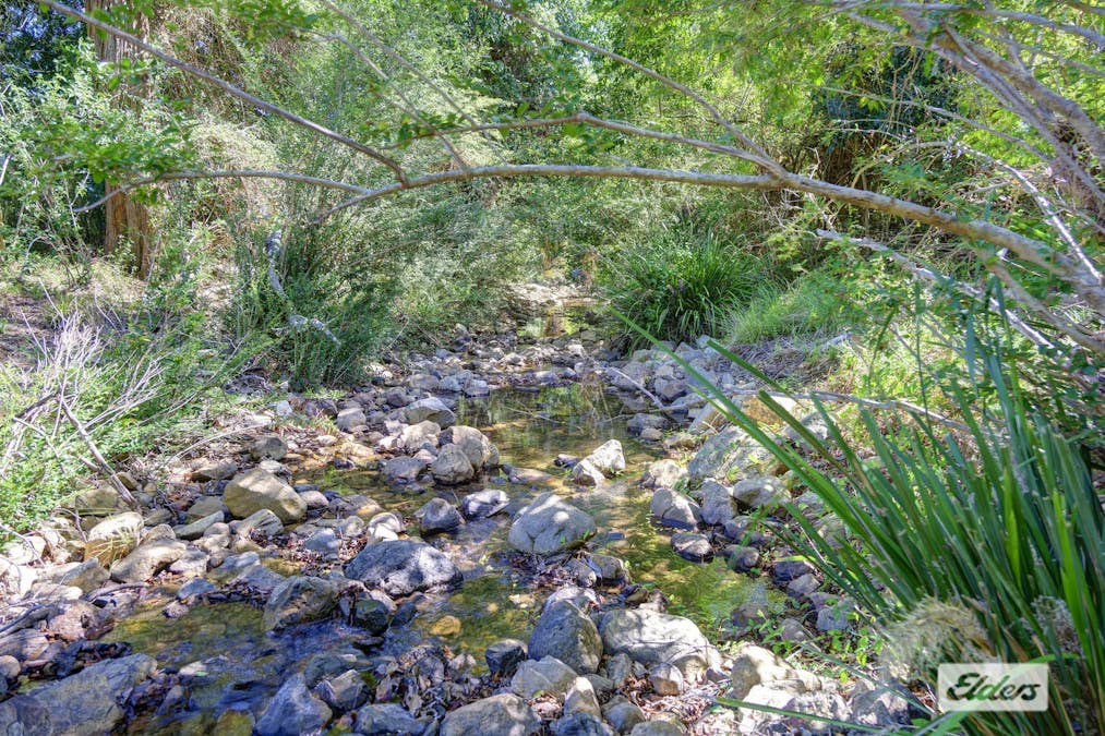 Kings Creek Road, Krambach, NSW, 2429 - Image 11