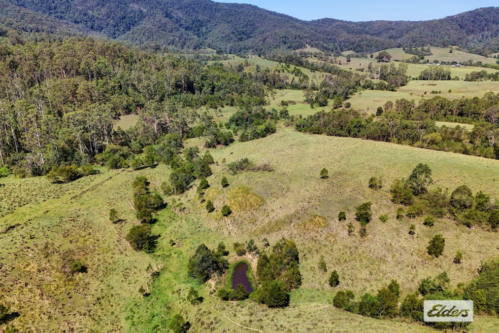 Kings Creek Road, Krambach, NSW, 2429 - Image 30