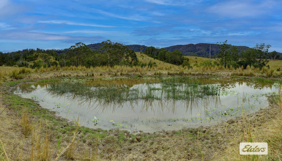 Kings Creek Road, Krambach, NSW, 2429 - Image 9
