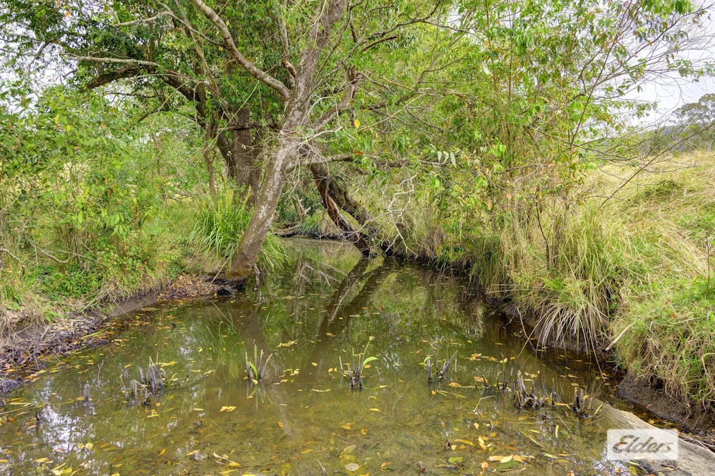 Kings Creek Road, Krambach, NSW, 2429 - Image 12