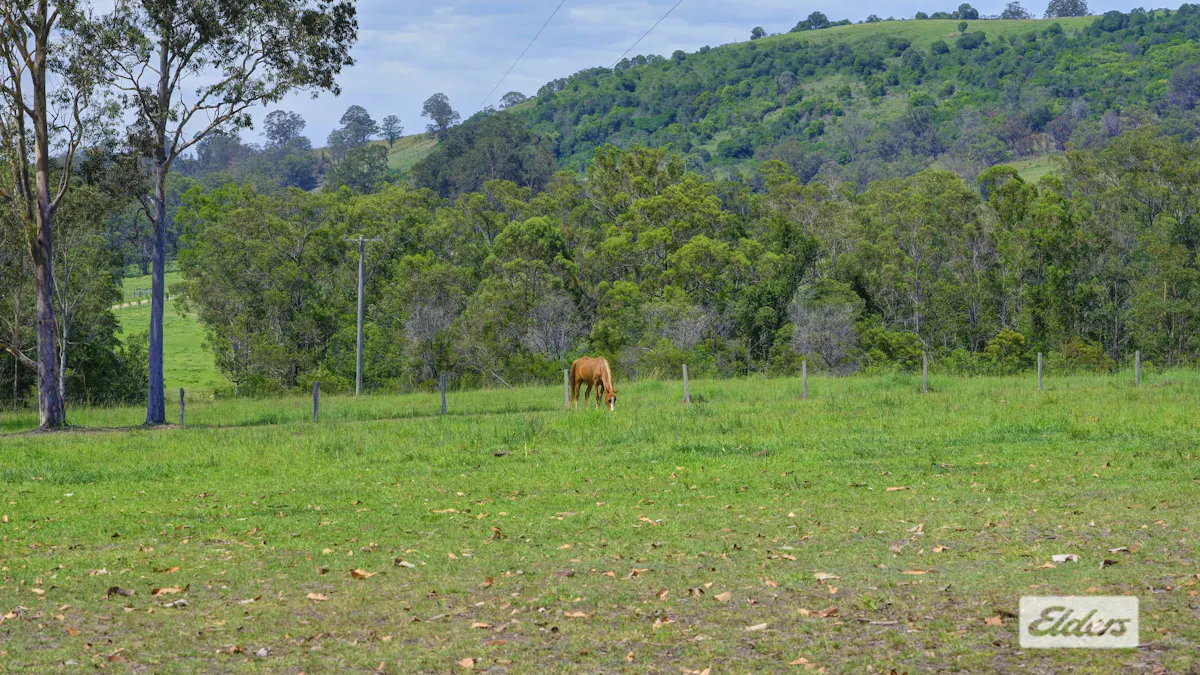 226 Nowendoc Road, Killawarra, NSW, 2429 - Image 34
