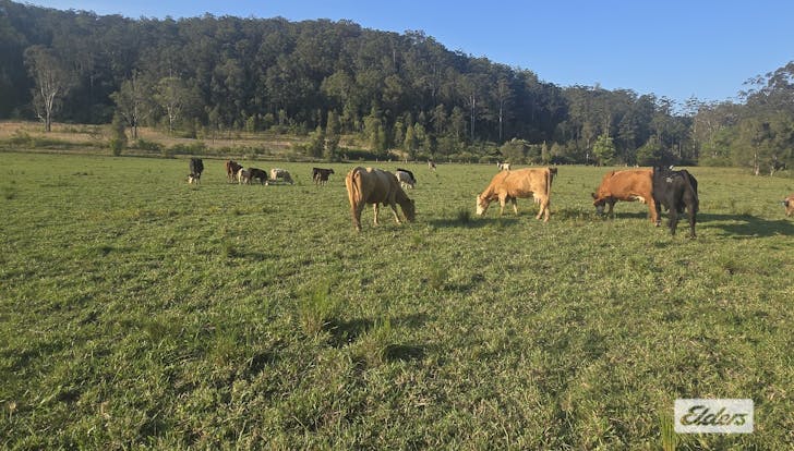 Marlee, NSW, 2429 - Image 1