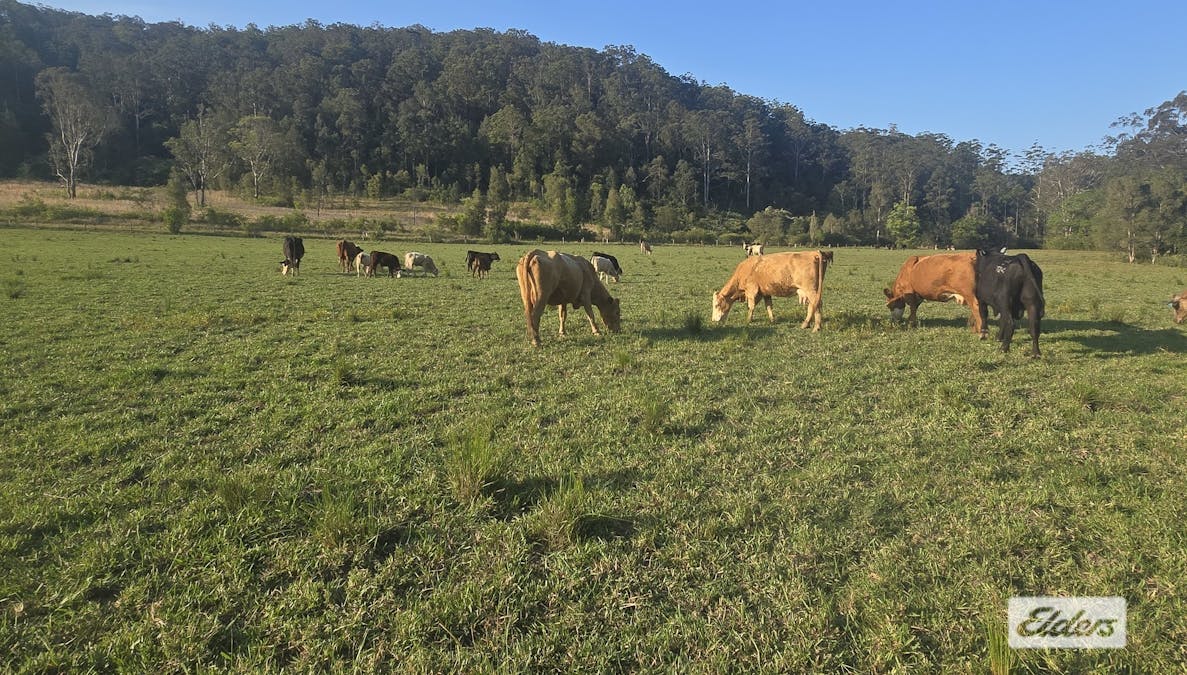 Marlee, NSW, 2429 - Image 1