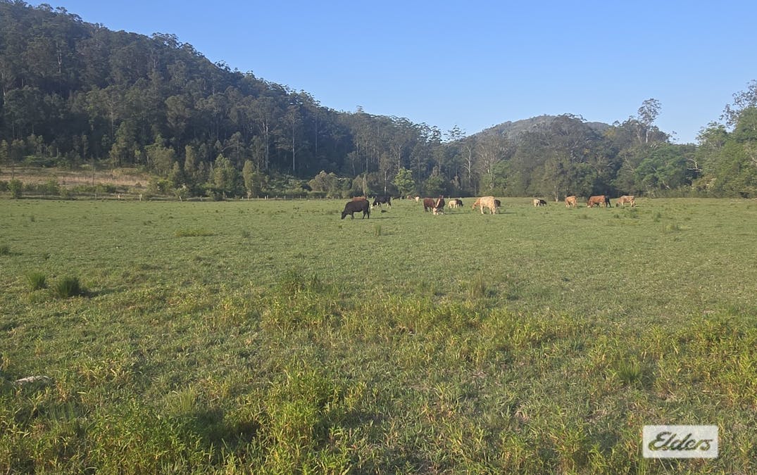 Marlee, NSW, 2429 - Image 2