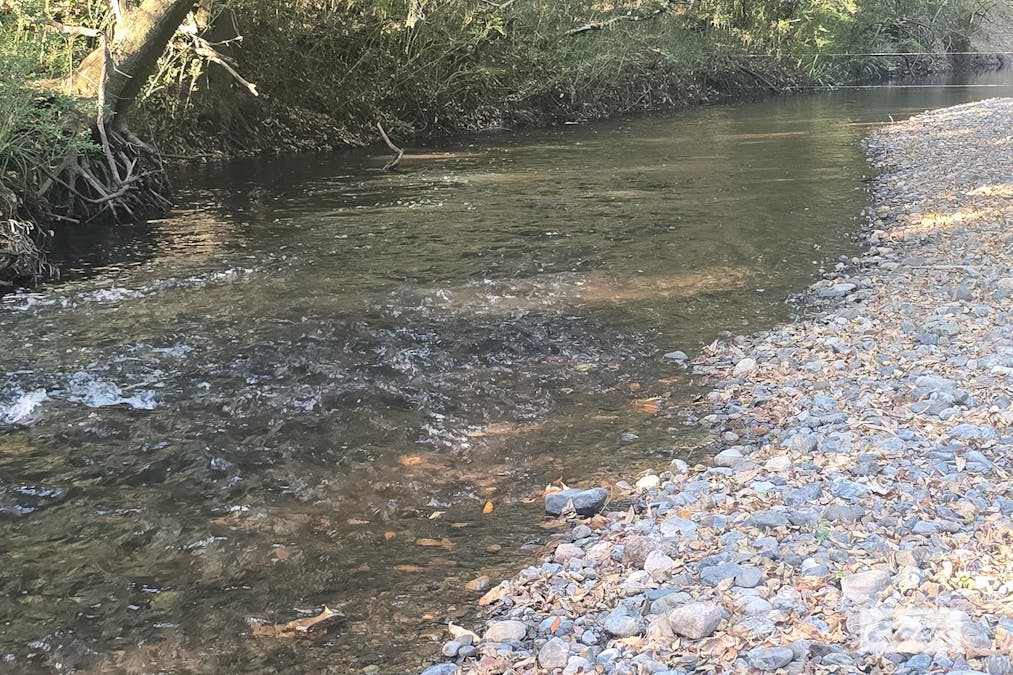 Marlee, NSW, 2429 - Image 20