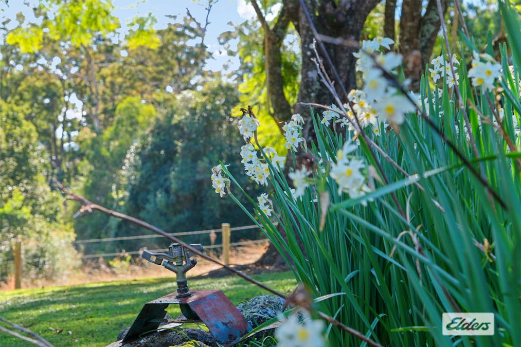 Marlee, NSW, 2429 - Image 19