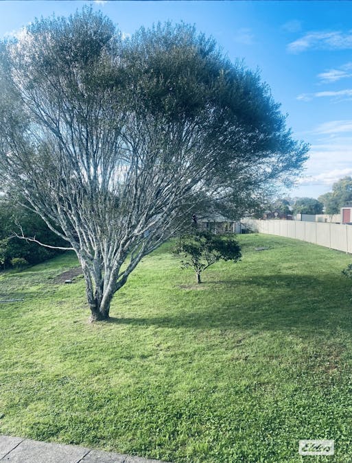 19 Combined Street, Wingham, NSW, 2429 - Image 5