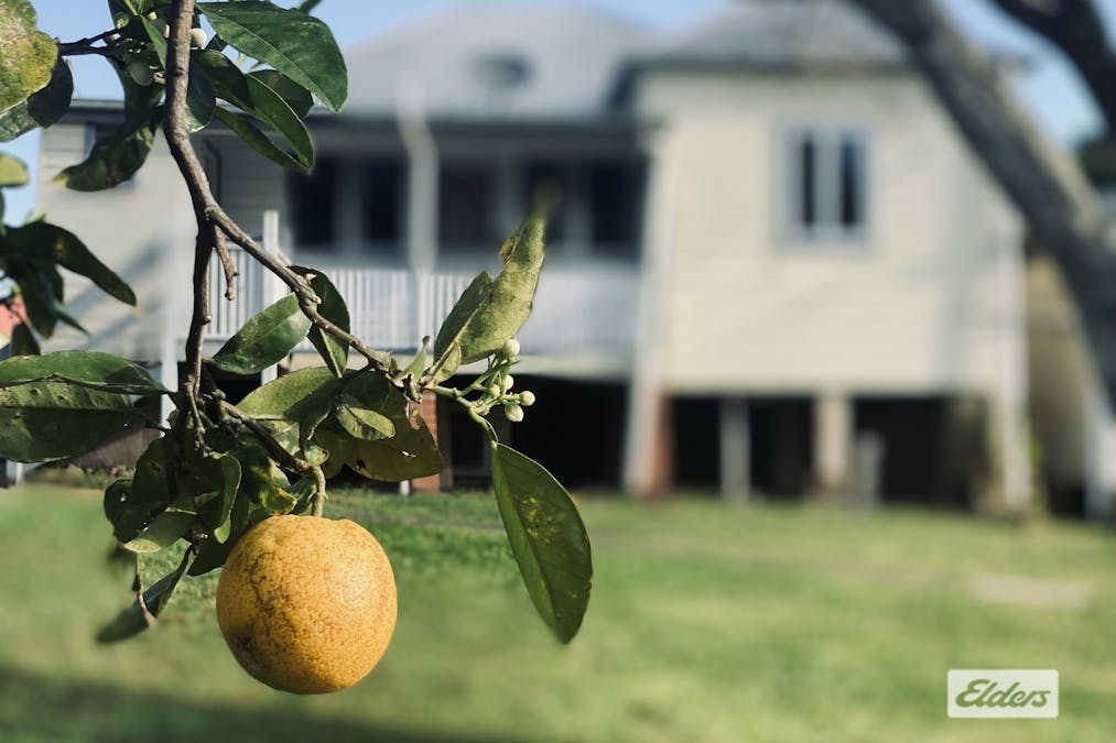 19 Combined Street, Wingham, NSW, 2429 - Image 18