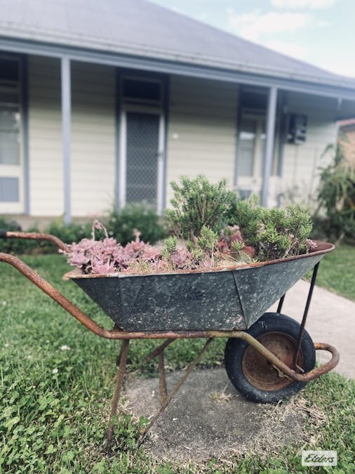 19 Combined Street, Wingham, NSW, 2429 - Image 2