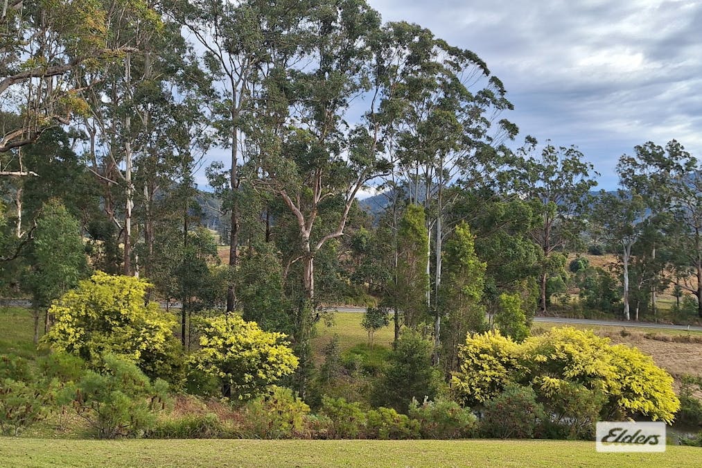 1694 Comboyne Road, Killabakh, NSW, 2429 - Image 13