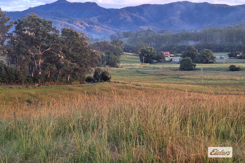 1694 Comboyne Road, Killabakh, NSW, 2429 - Image 14