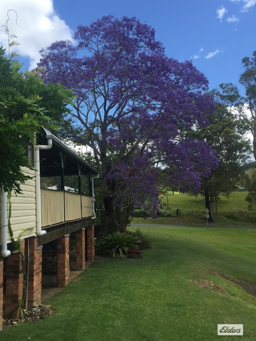 1694 Comboyne Road, Killabakh, NSW, 2429 - Image 17