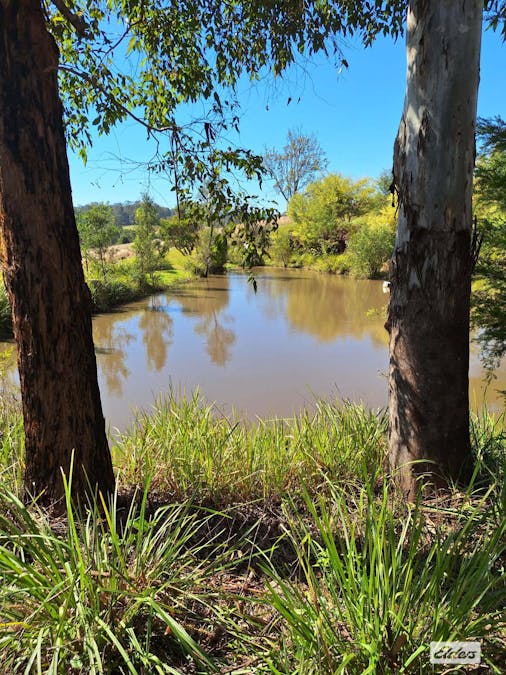 1694 Comboyne Road, Killabakh, NSW, 2429 - Image 19