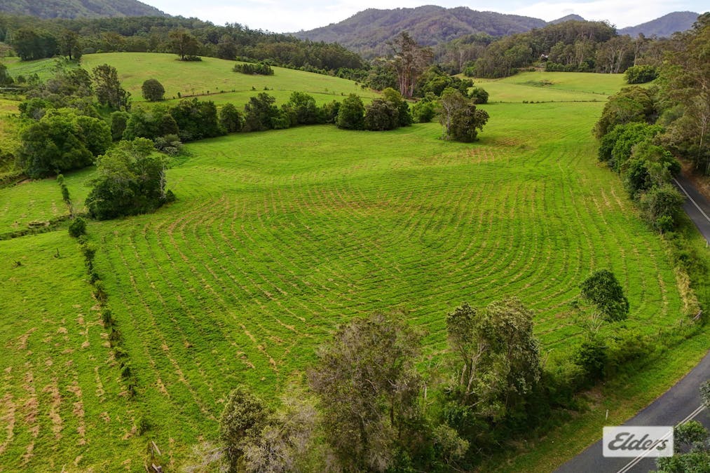 1589 Comboyne Road, Killabakh, NSW, 2429 - Image 4