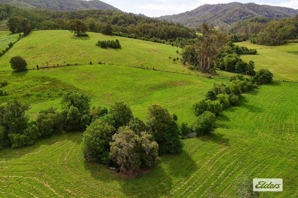 1589 Comboyne Road, Killabakh, NSW, 2429 - Image 6