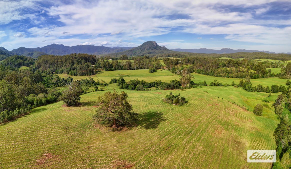 1589 Comboyne Road, Killabakh, NSW, 2429 - Image 5