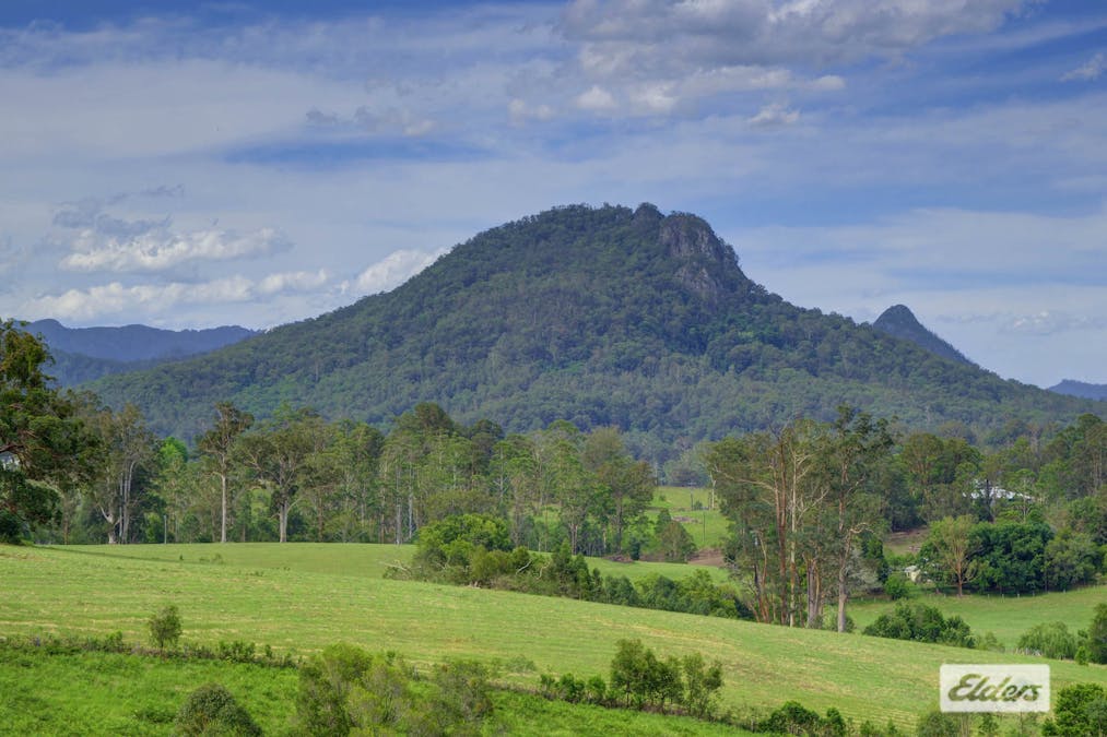 1589 Comboyne Road, Killabakh, NSW, 2429 - Image 13