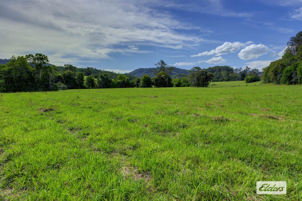 1589 Comboyne Road, Killabakh, NSW, 2429 - Image 14
