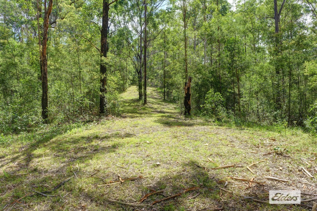 1589 Comboyne Road, Killabakh, NSW, 2429 - Image 17