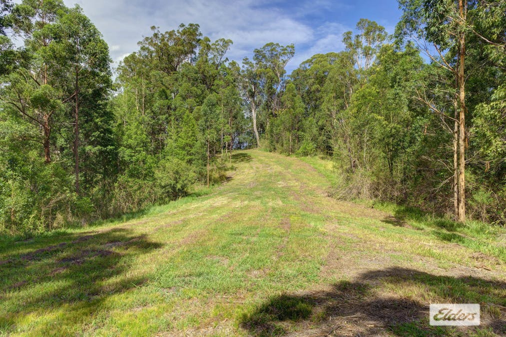 1589 Comboyne Road, Killabakh, NSW, 2429 - Image 18