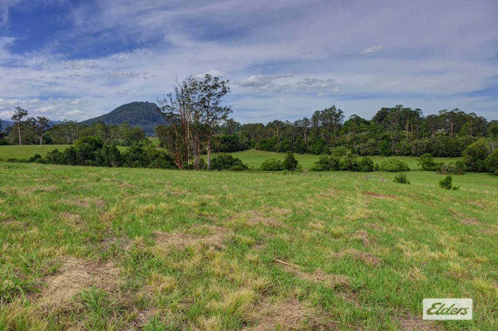 1589 Comboyne Road, Killabakh, NSW, 2429 - Image 22