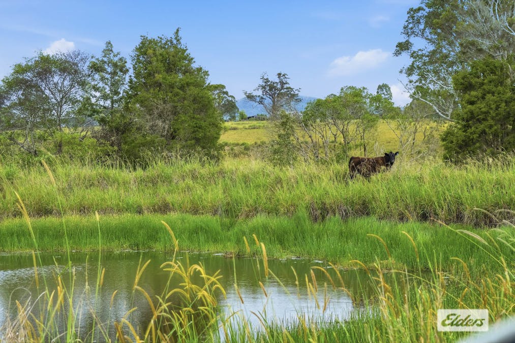 616 Comboyne Road, Cedar Party, NSW, 2429 - Image 20