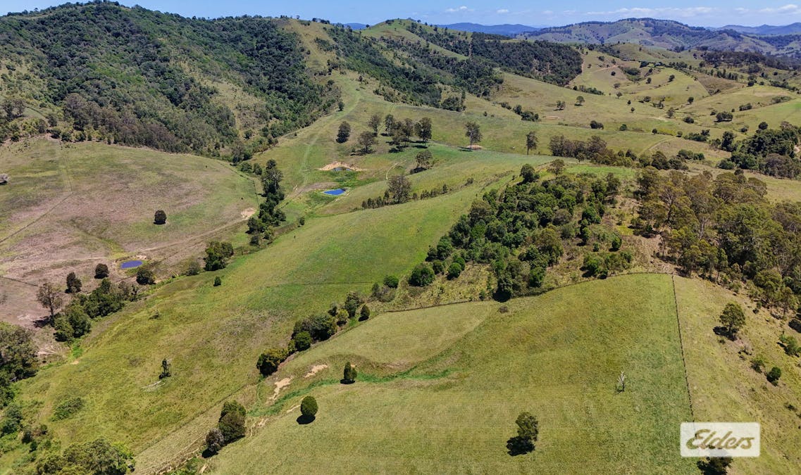 97 Stevens Close, Wang Wauk, NSW, 2423 - Image 6