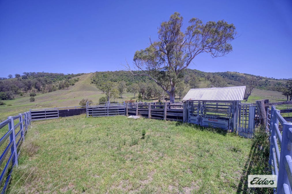 97 Stevens Close, Wang Wauk, NSW, 2423 - Image 18