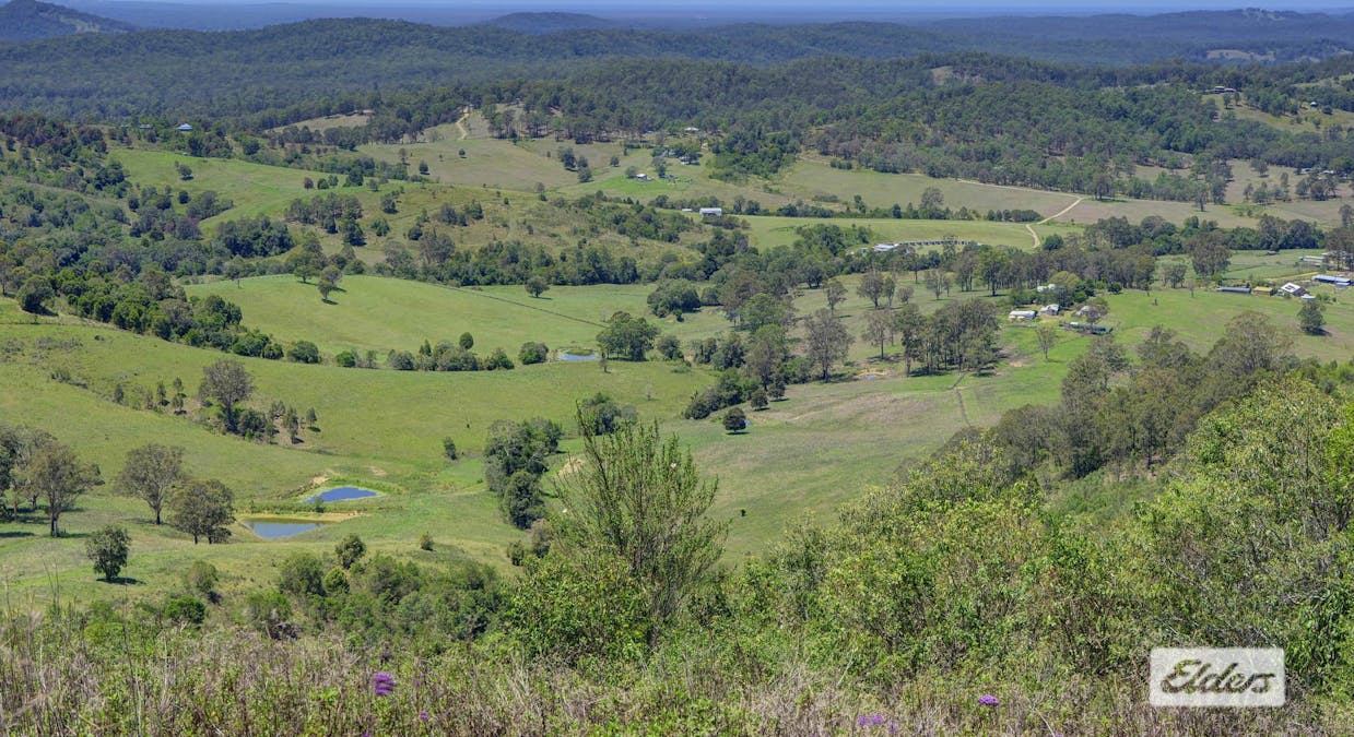 97 Stevens Close, Wang Wauk, NSW, 2423 - Image 20