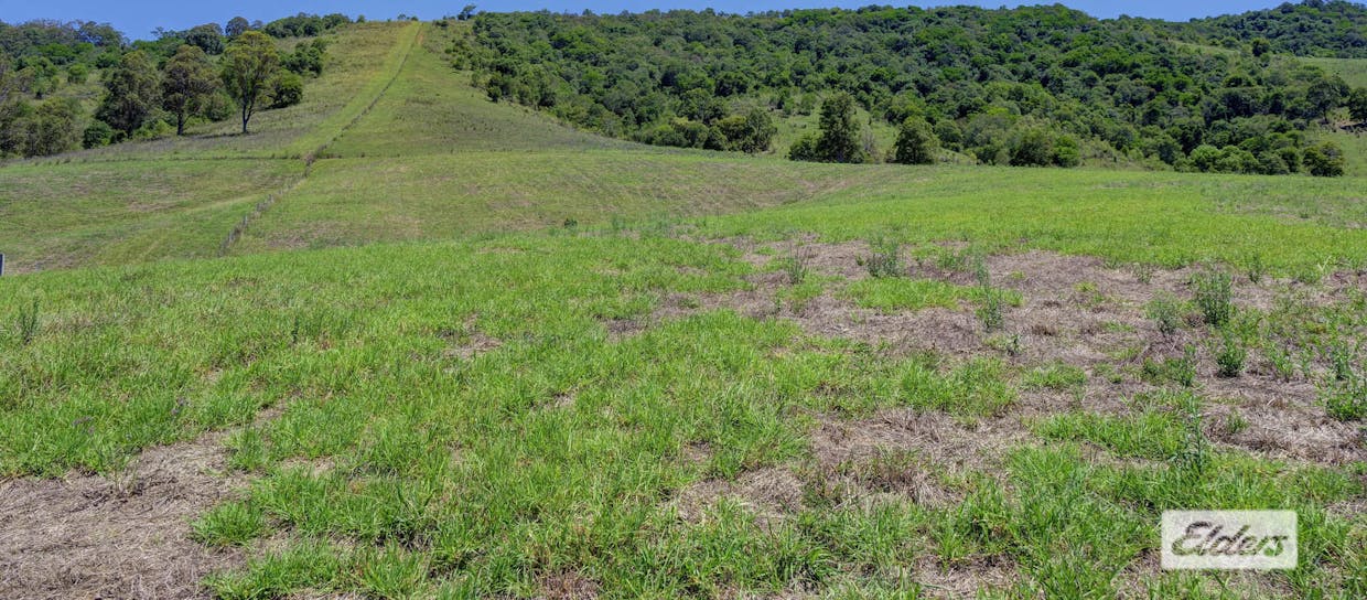 97 Stevens Close, Wang Wauk, NSW, 2423 - Image 23