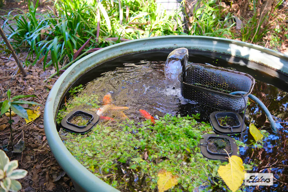 785 Old Bar Road, Old Bar, NSW, 2430 - Image 19