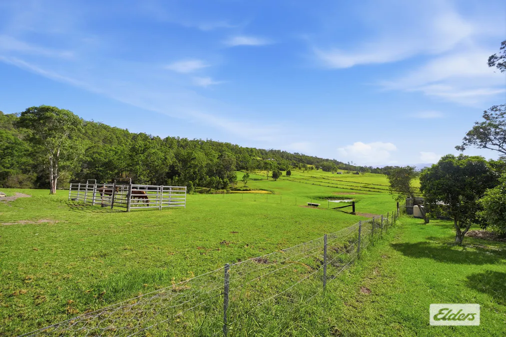 57 Sunshine Road, Hillville, NSW, 2430 - Image 21